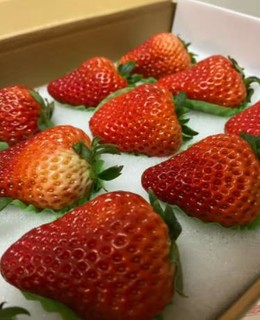 丹东草莓果然名不虚传，单个草莓和鸡蛋一样
