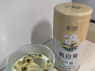 这个时候不能放手的杭白菊