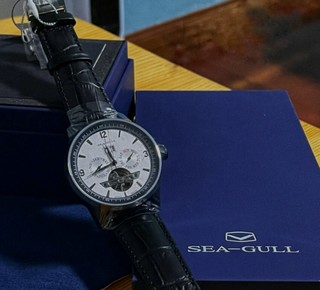 海鸥（SEAGULL）手表 巨匠系列自动机械表 