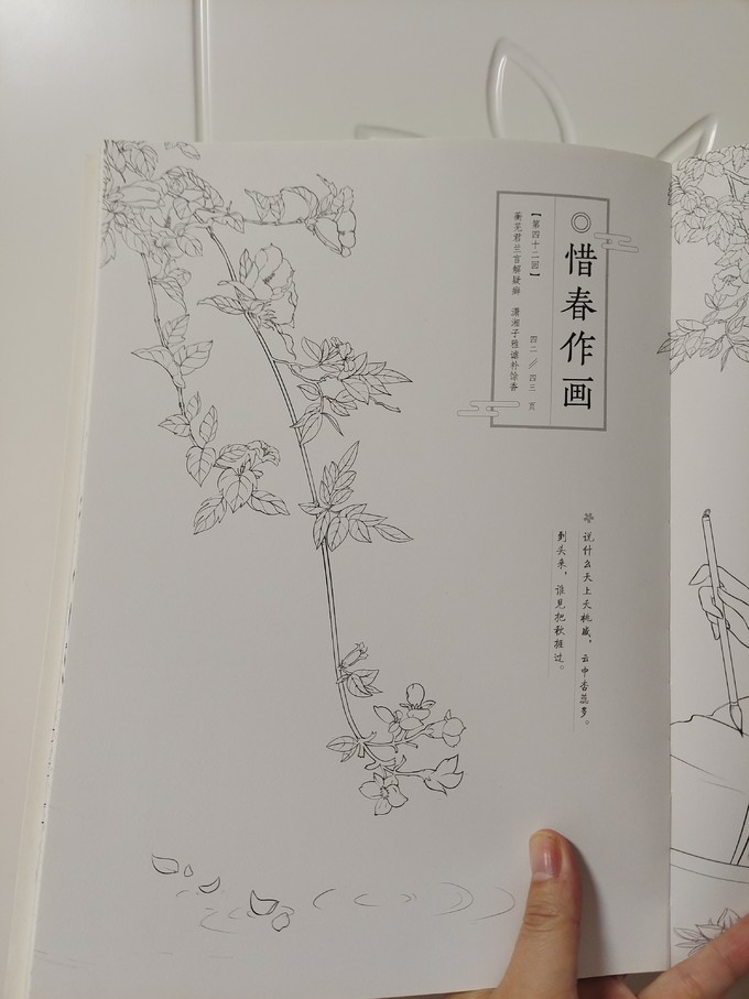 中国青年出版社文学诗歌
