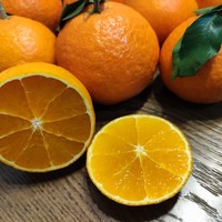 一个果园 篇一：分享一下爱媛38号果冻橙心得 帮你买到高品质水果