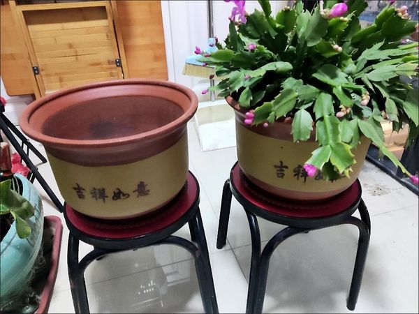 爱养花的看过来，陶瓷花盆，紫砂花盆