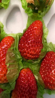 丹东的红颜草莓，今年买的最好的草莓🍓
