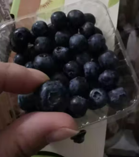 酸甜可口果肉细腻的进口蓝莓