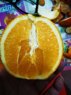 杨氏赣南脐橙，熟悉的味道回来了