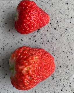 草莓非常好吃，甜甜的，非常红