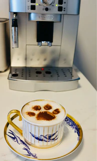 咖啡机使用方便，萃取压力足咖啡液油脂丰富