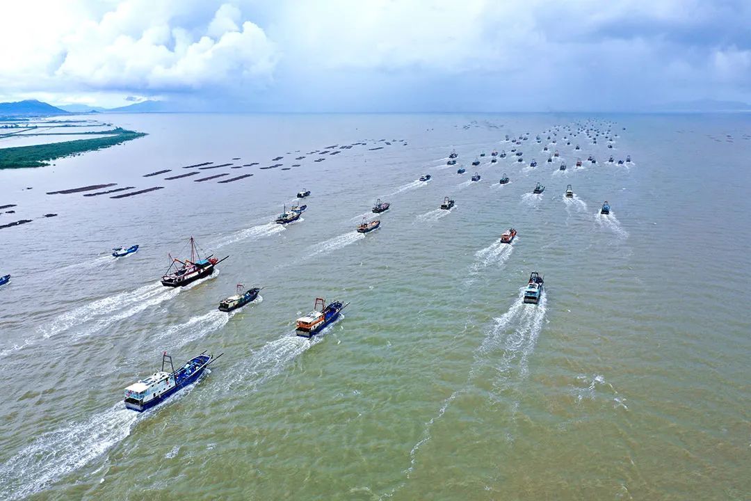 随着“开渔”的号角吹响，横山渔港数百艘渔船驶向大海深处 ©️台山市融媒体中心