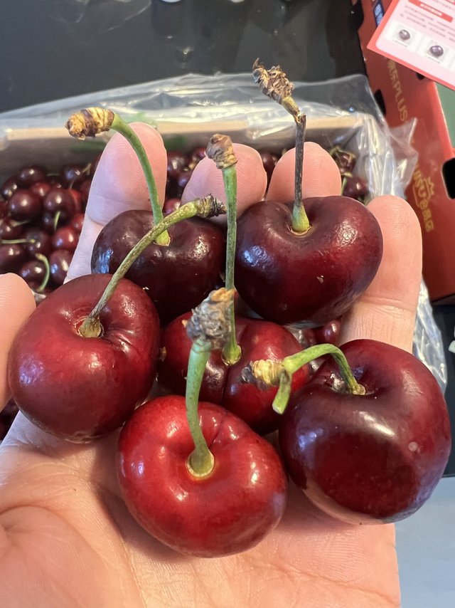 京东预售PLUSxDOGA JJJ车厘子到货