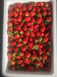 年货采购新鲜草莓特别的酸甜可口