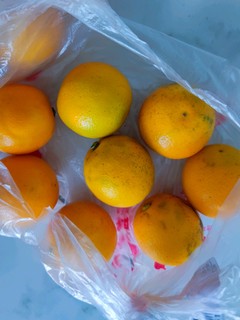 吃这么多橙子能不能抗阳！！？