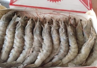 九善食厄瓜多尔白虾净重400g/盒18-25只 