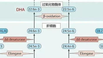 孕期/婴幼儿吃DHA真的有用吗？