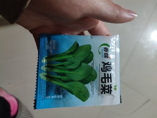 在自己的菜园子种点菜