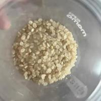 给宝宝吃胚芽米，几乎每粒米都可以看到胚芽