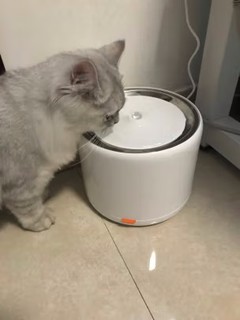 小佩宠物饮水机，让猫咪喝水量翻倍