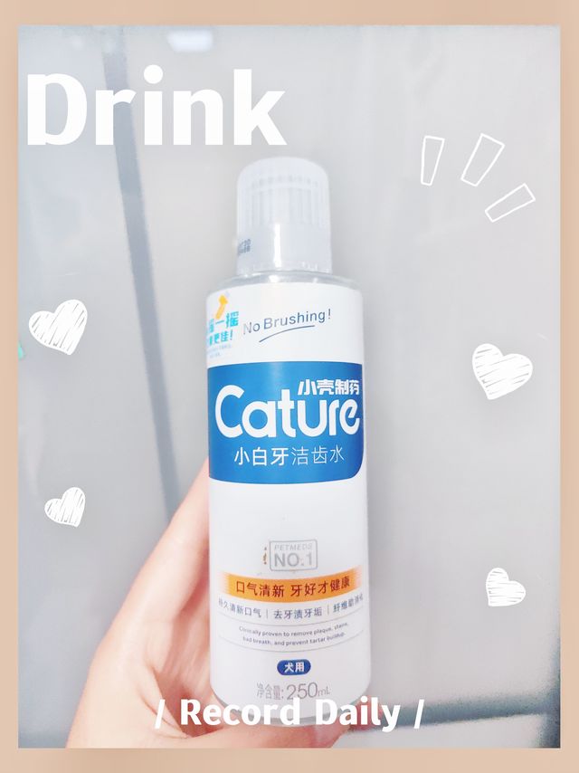 狗狗漱口水｜食用除口臭宠物