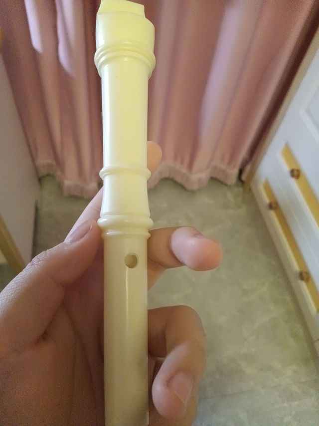 初学者可以入的竖笛