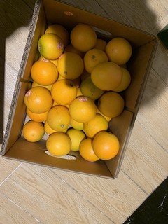 双旦收到的礼物居然是双十一的橙子