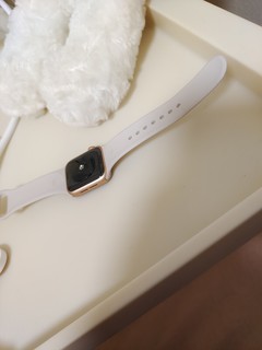 可安装应有尽有的软件的手表apple watch se