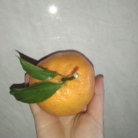 跨年时必不可少的橘子！！