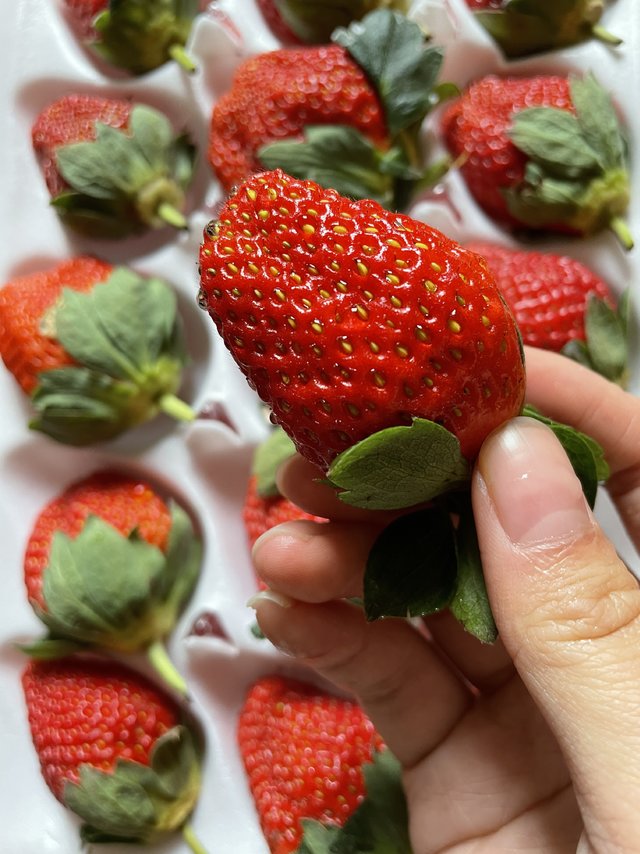 个头超大超甜的草莓🍓！！