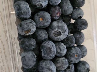 收到很久的蓝莓 今天才有勇气打开 没有失望