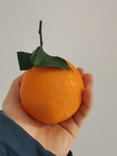这个爱媛橙虽然贵了点，但确实不错
