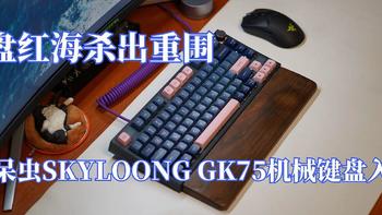 键盘红海杀出重围，小呆虫SKYLOONG GK75机械键盘入手