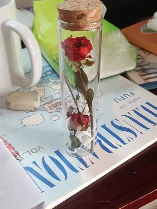 玻璃试管小型干花束永生花