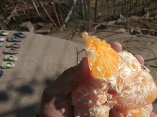 超级大的巨无霸橘子