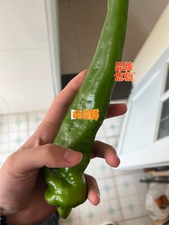 生活好食物推荐之一青椒！