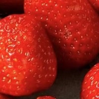 冬季就是要吃草莓呀，哪里的草莓最好吃呢？