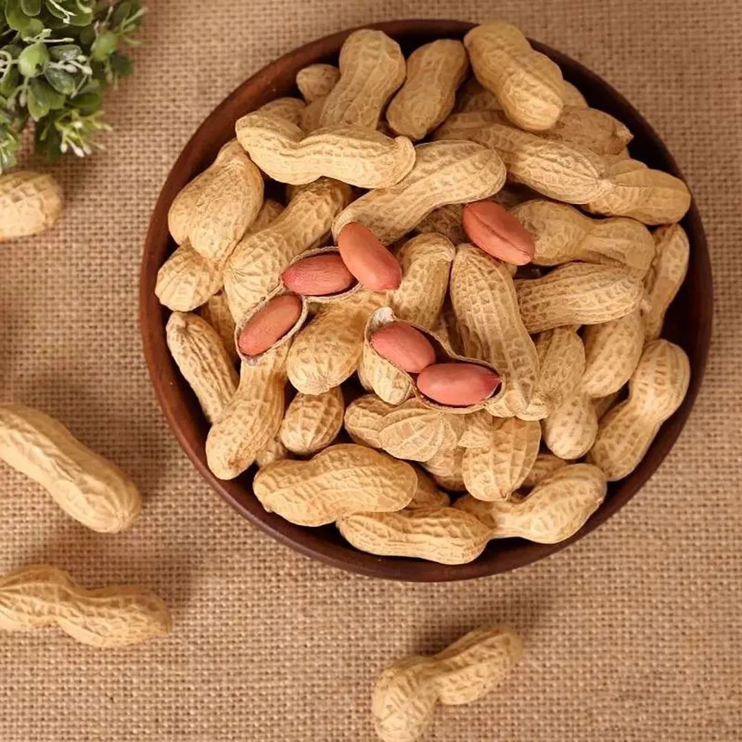 平度大花生 08乡趣农旅