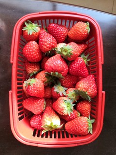 吃草莓的季节