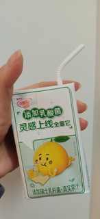 蒙牛酸酸乳乳酸菌果茶