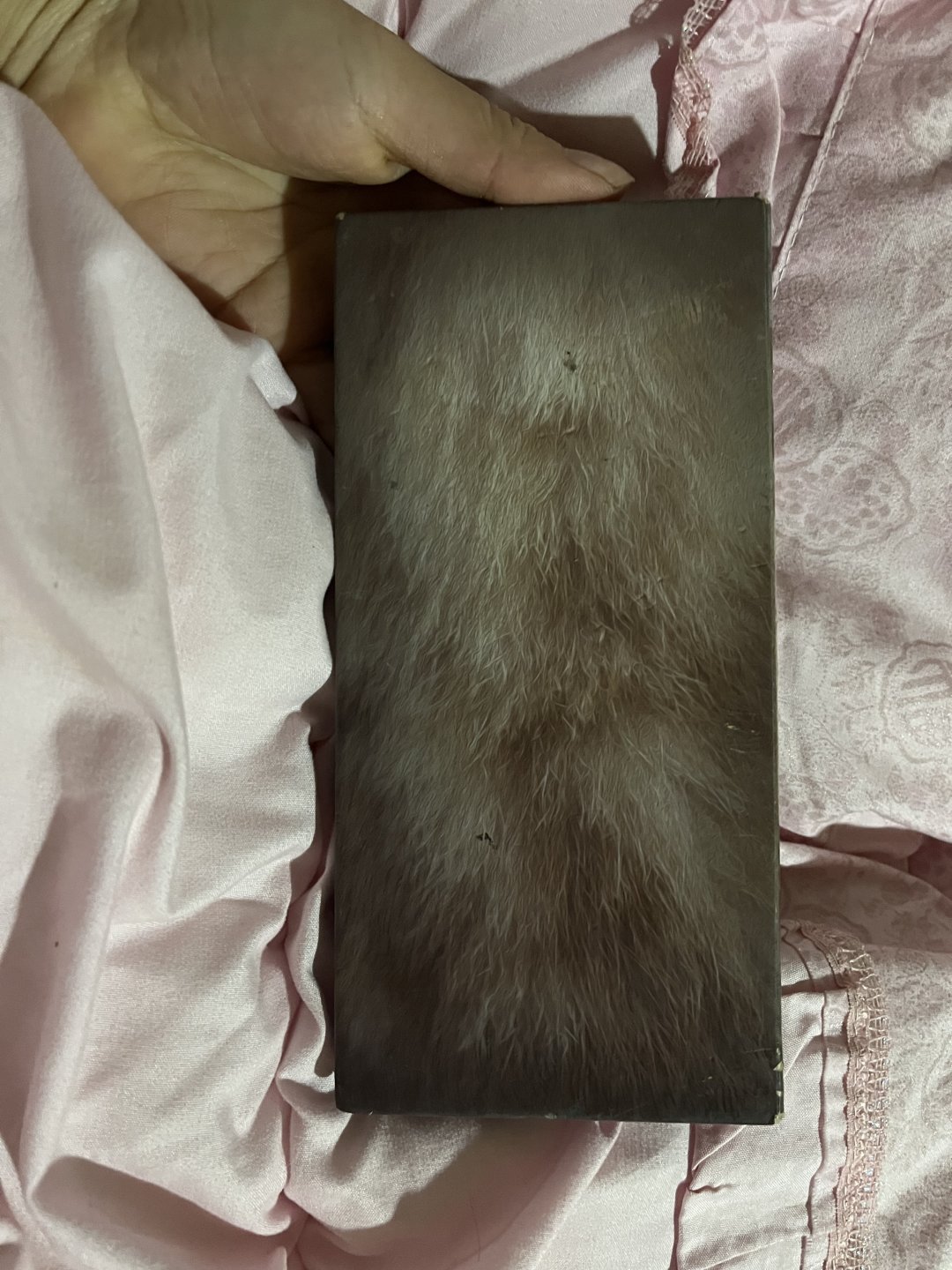 完美日记眼影小猫盘