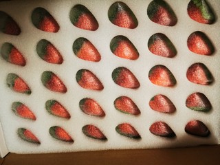 每公斤66元的丹东草莓完胜家门口水果店