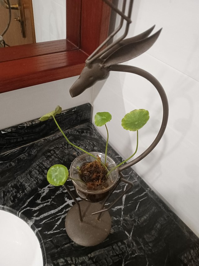 铁艺小鹿培植物装饰摆件