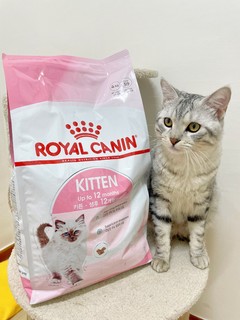 为什么宠物医院都推荐幼猫吃皇家？