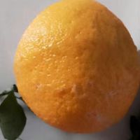 这个丑橘好好吃，很推荐大家购买哈哈哈