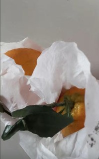 这个丑橘好好吃，很推荐大家购买哈哈哈