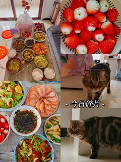 吃完和小肥猫准备回家咯