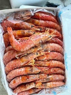 正宗阿根廷红虾海水大虾进口海鲜