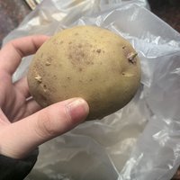 发芽的土豆可以吃吗？