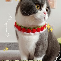 猫猫的围脖|你pink谁