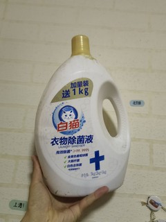 洗衣新搭档，白猫来陪伴