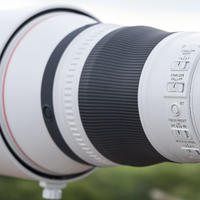 佳能RF800mm F5.6，接近6位数的大炮实力如何？