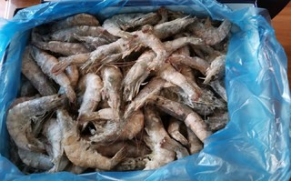 品质不错的鲜冻白虾