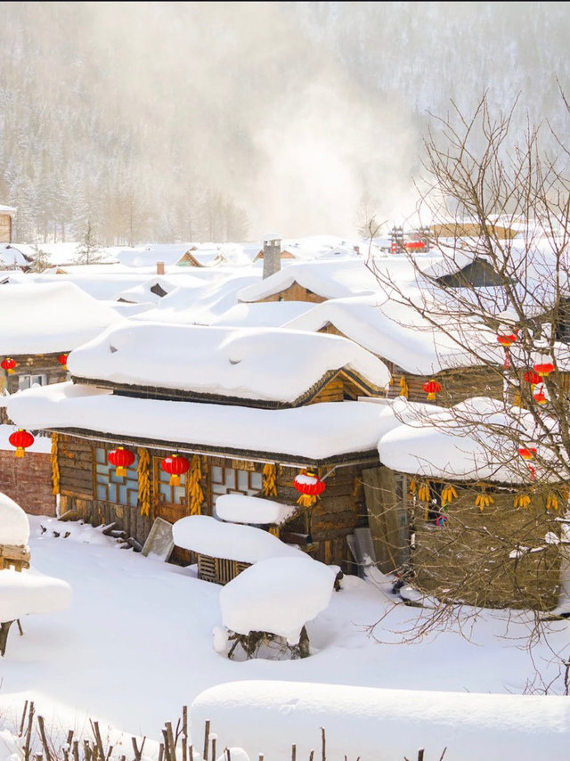 东北雪乡满足了我对童话世界的所有幻想!!